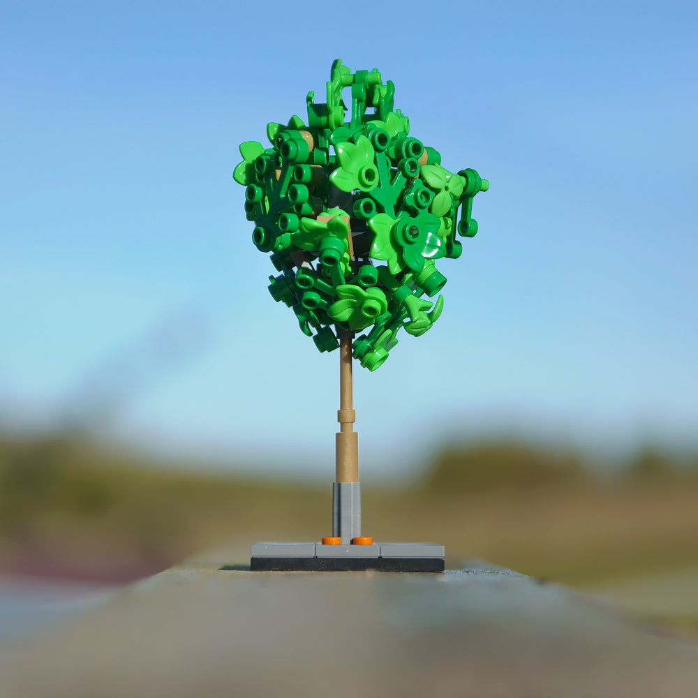 Tree S2