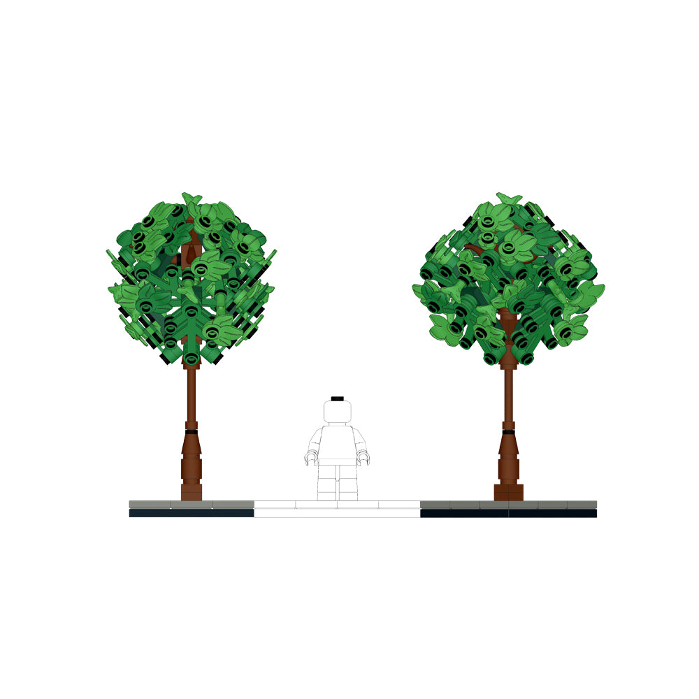 Tree S1