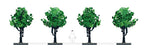 Tree S3